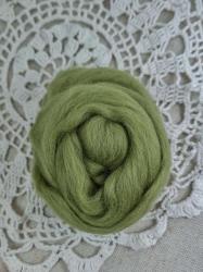 Merino vlna 10g- zelen asparagus