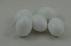 Vajce- biely plast, 60x45mm