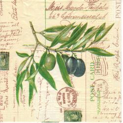 Olivy a listy