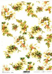 Ry�ov� papier A4- Cezm�na