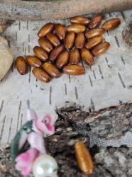 Korálky drevené/oliva 15x7mm (17g), karamel