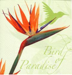 Bird of Paradise