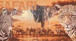 Safari Collage