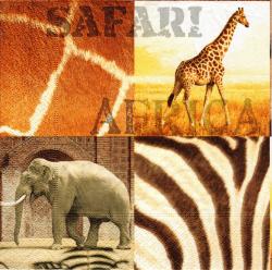 Africká safari