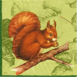 Veverička- zelená
