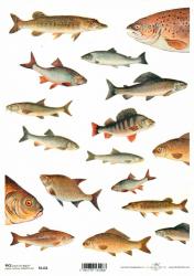 Ryžový papier A4- Ryby, rybky, rybièky