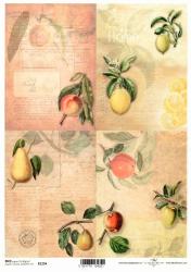 Ryžový papier A4- Štyri druhy ovocia