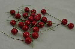Plod cezmíny 8cm- červená
