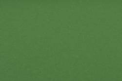 Fotokartón (130g/m2)- zelený mach