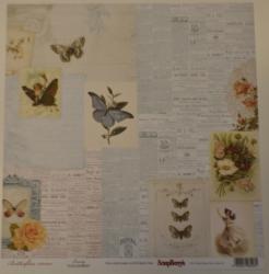 Papier 30x30cm 190g/m2- Butterflies Beauty