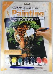 Maľovanie podľa čísel- Tiger